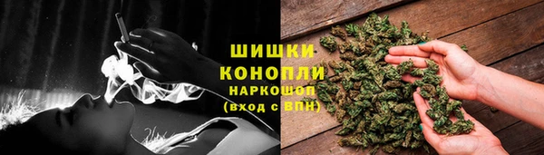 мдпв Михайлов