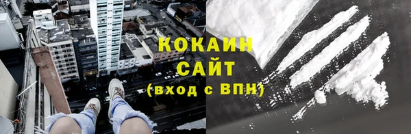 мдпв Михайлов