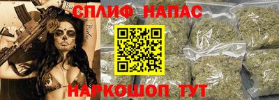 Альфа ПВП Гатчина