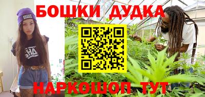 индика Гагарин