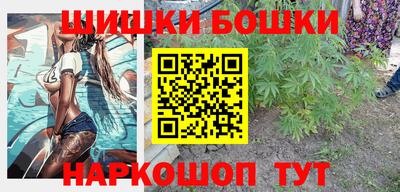 индика Гагарин