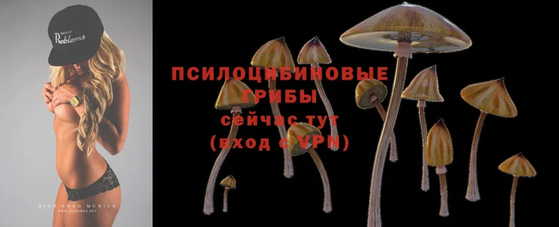 Псилоцибиновые грибы Magic Shrooms Петропавловск-Камчатский