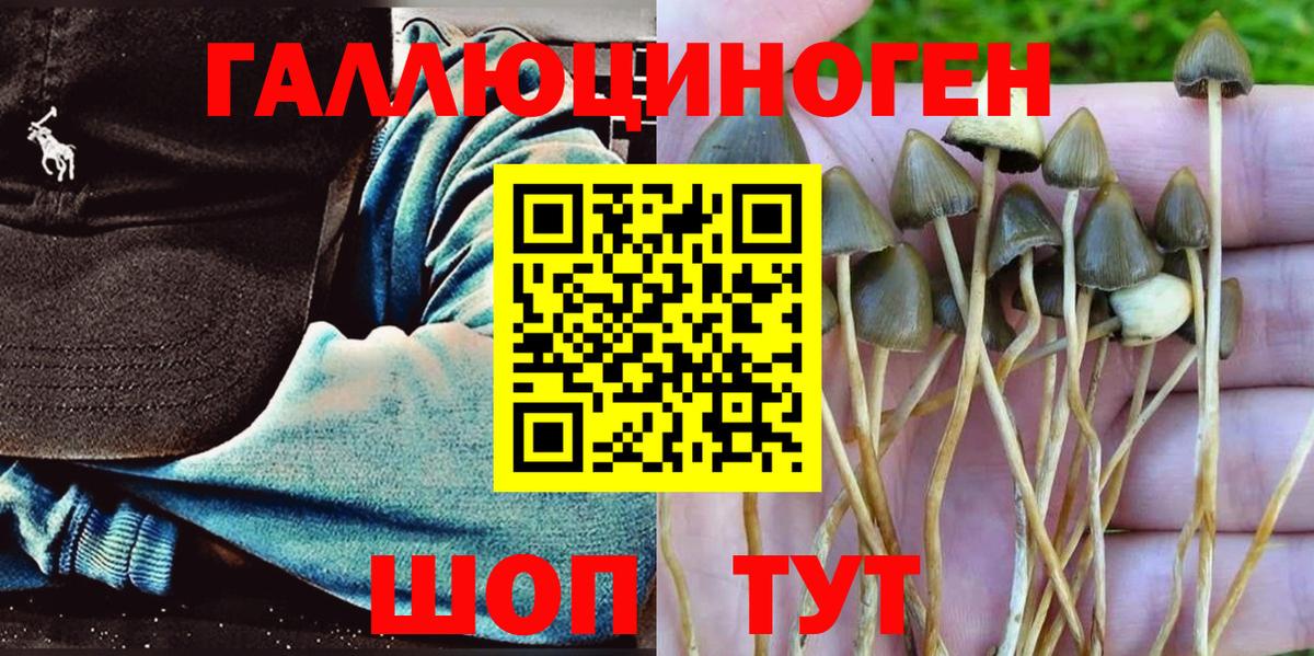 Галлюциногенные грибы мухоморы Петропавловск-Камчатский