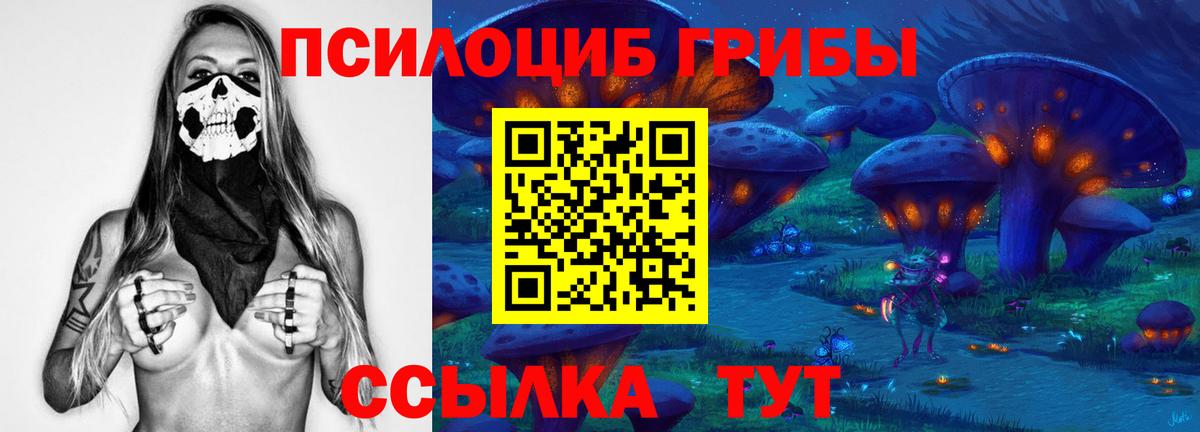 Петропавловск-Камчатский  Галлюциногенные грибы Magic Shrooms  Вход с VPN 