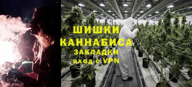 дарнет шоп  Петропавловск-Камчатский  блэк спрут   Марихуана White Widow 